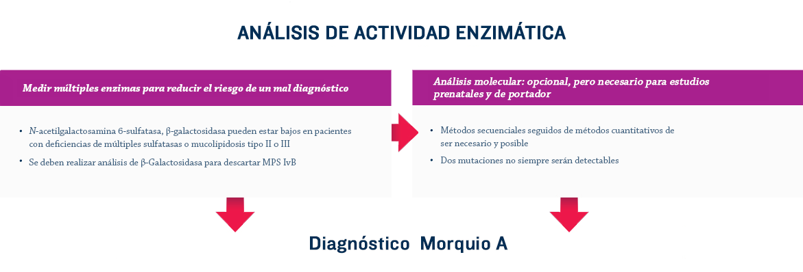 diagnostic-algorithm-1